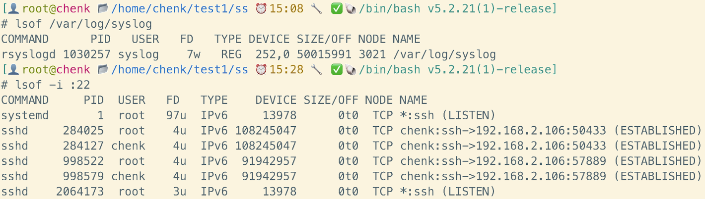 image-20250206152853213